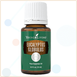 Young Living - Eucalyptus Globulus AntiFungal Essential Oil