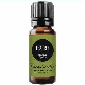 Edens Garden Tea Tree Essential Oil (Melaleuca Alternifolia)