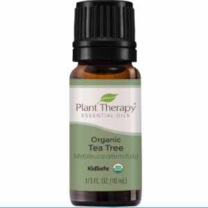 Plant Therapy Organic Tea Tree Oil