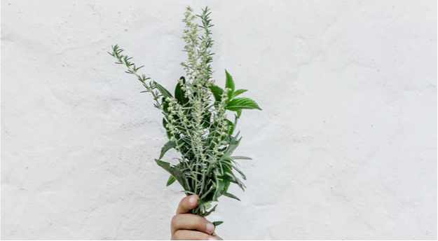 Tea Tree Oil For Fungal Acne