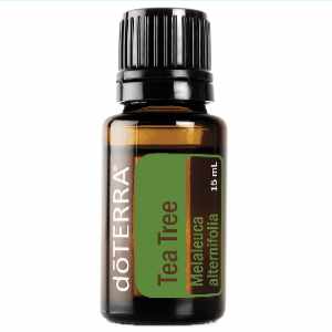 doTERRA Melaleuca Essential Oil